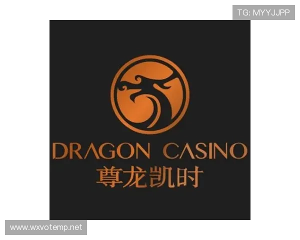 尊龙凯时共赢共欢乐：共谋发展共享成果打造行业合作新典范